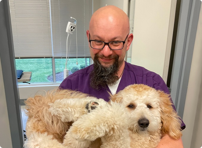 A team member in purple scrubs holding two doodle puppies