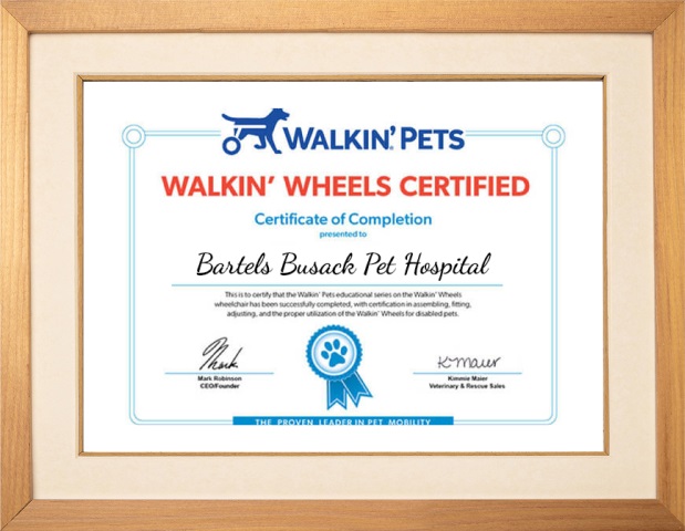 Walkin' Wheels Certified certificate of completion awarded to Bartels Busack Pet Hospital