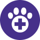 See a vet: book a veterinary appointment