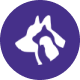 See a vet: book a veterinary appointment