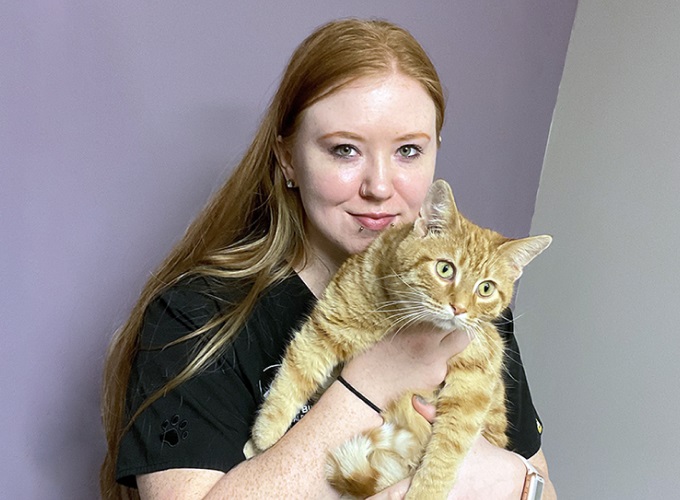 A staff member holding a ginger tabby cat