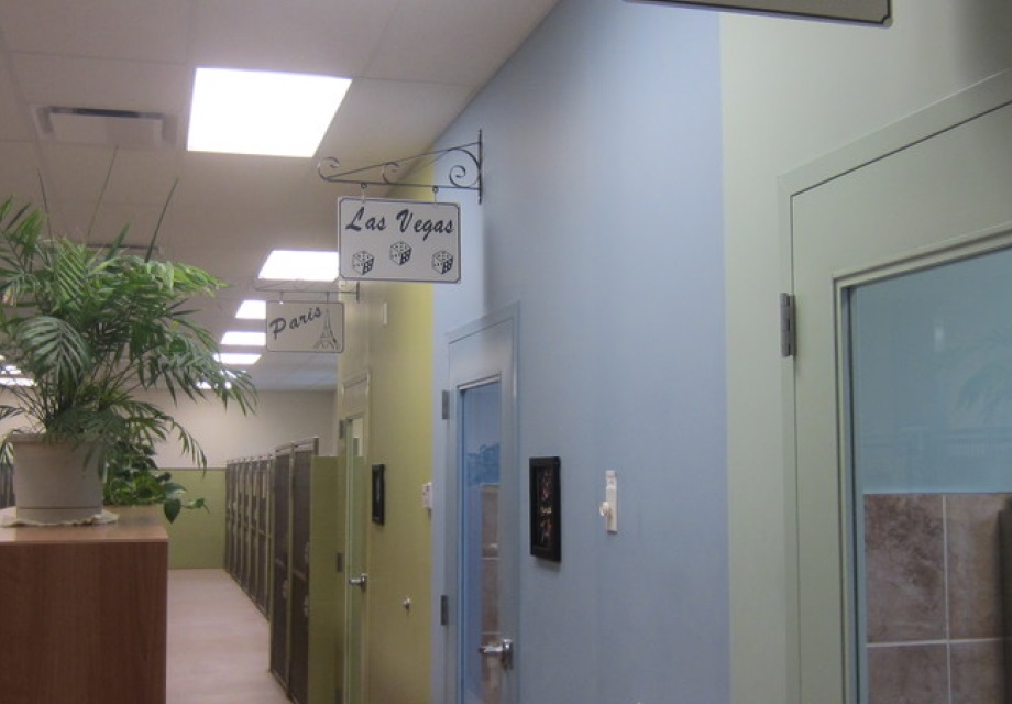 A corridor of themed guest rooms at the pet resort, including a Las Vegas suite
