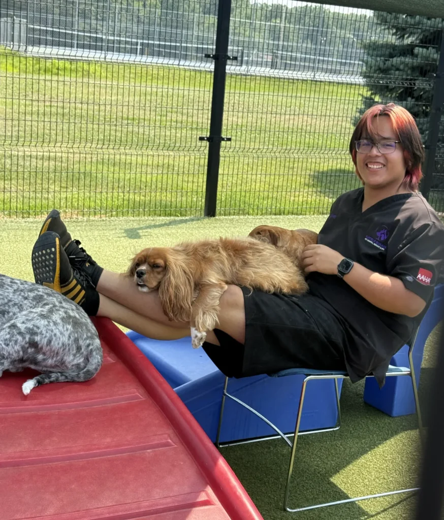 Team member relaxing in the play yard with a small spaniel resting on their lap