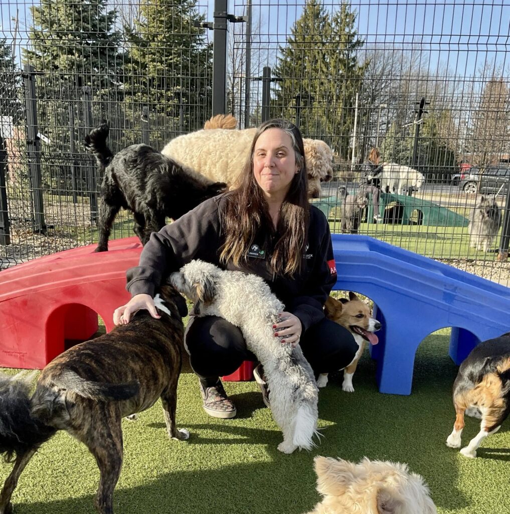 Team member kneeling with a group of dogs in the outdoor play yard