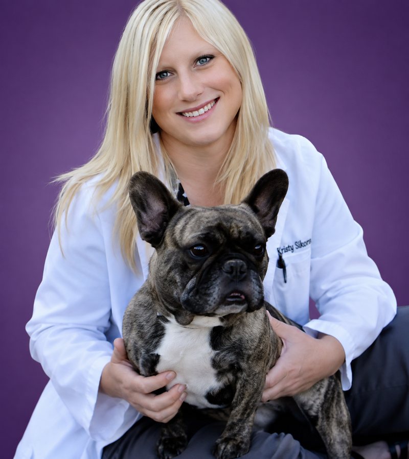 Dr. Brenda Motsco, relief veterinarian, holding a brindle French bulldog