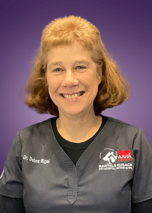 Dr. Debra Wigal, veterinarian at Bartels Busack Pet Hospital