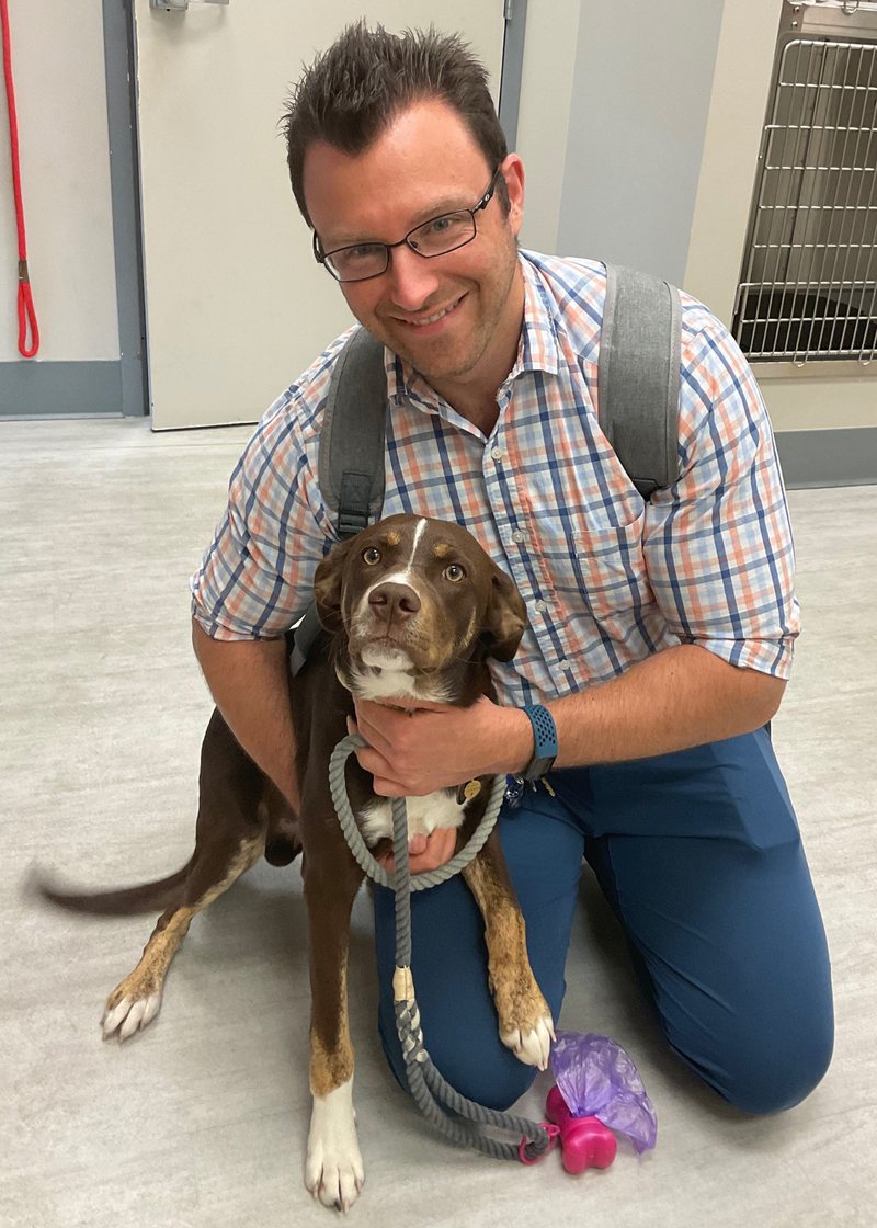 Matt Busack kneeling beside a brown and white hound in the hospital