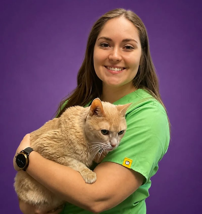 Morgan, RVT and C.A.R.E. associate, holding a ginger cat