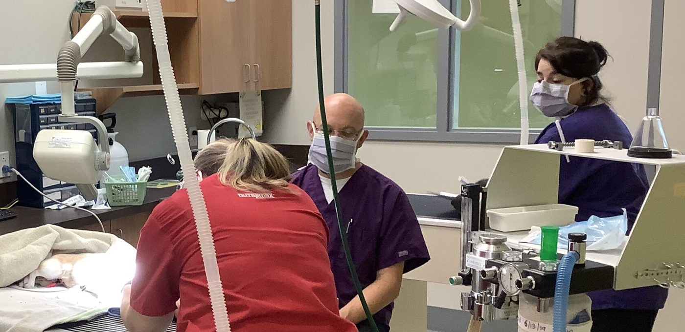 A Bartels Busack surgical team in masks and scrubs works on a patient in the operating room.