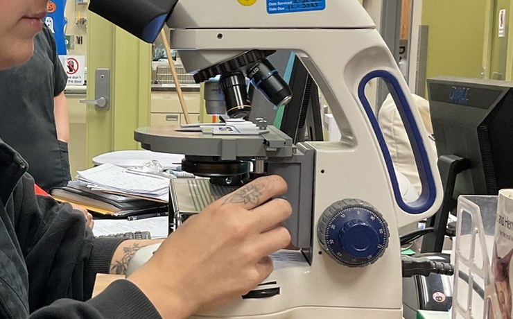 Staff member's hands adjust a microscope at the hospital laboratory