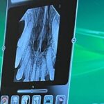 A dental X-ray of a dog's teeth displayed on a monitor during a dental visit
