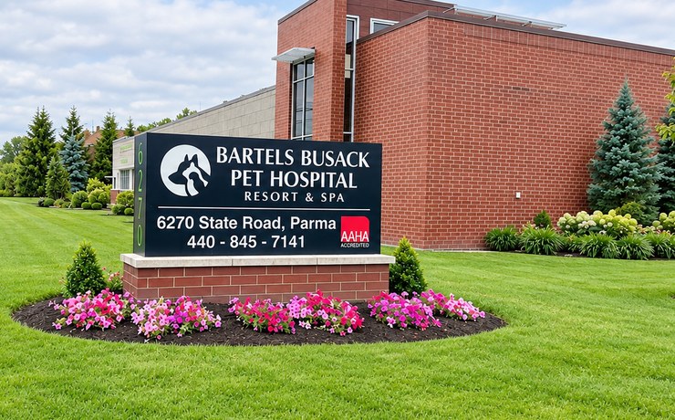 The Bartels Busack Pet Hospital Resort & Spa sign surrounded by flowers