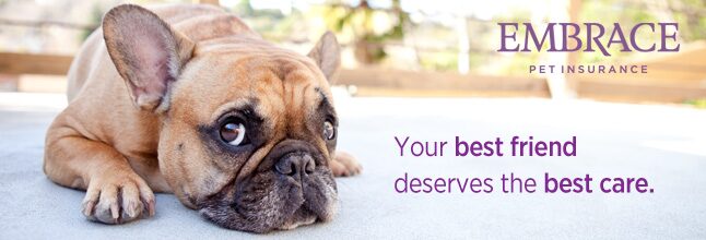 Embrace Pet Insurance banner: Your best friend deserves the best care